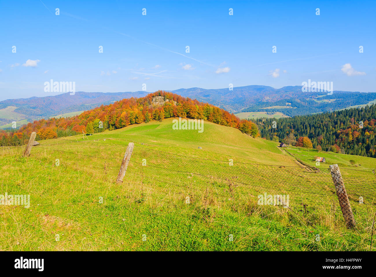 Clôture sur champ vert par beau jour d'automne dans les montagnes de Pieniny, Pologne Banque D'Images