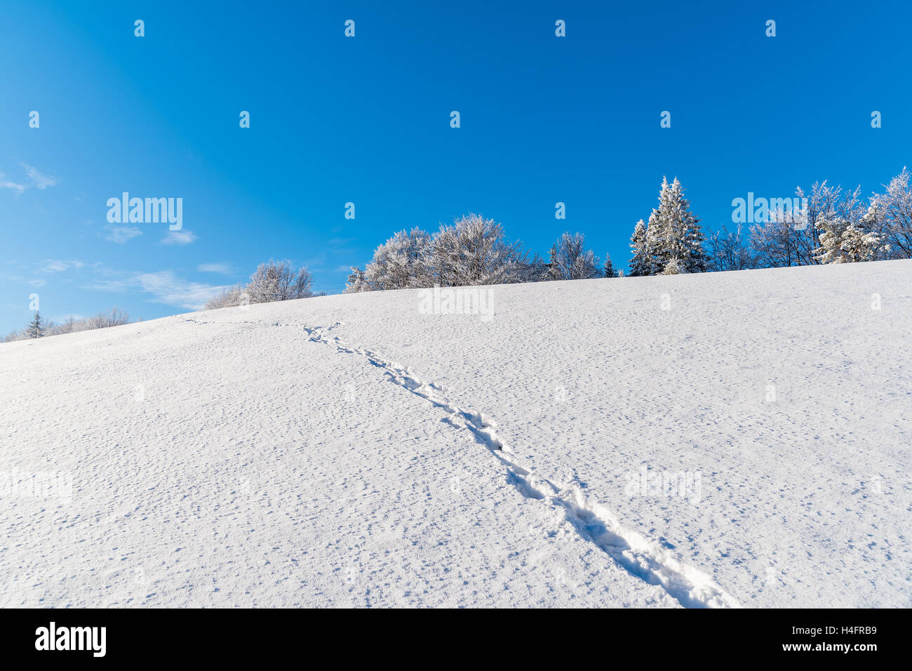 Chemin dans la neige sur journée ensoleillée en montagnes Beskid Sadecki, Pologne Banque D'Images