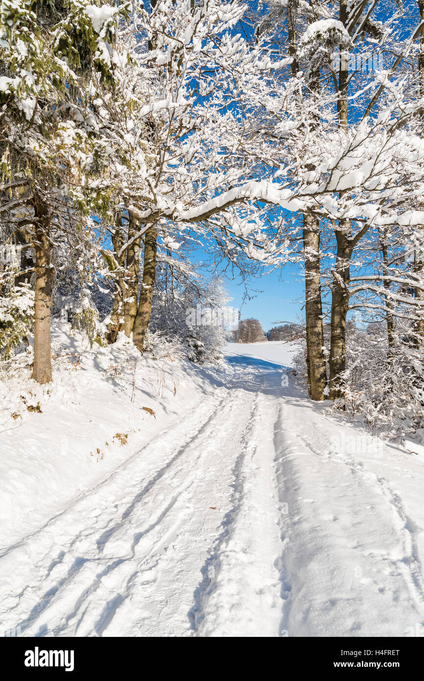 Chemin d'hiver dans les montagnes de Beskid Sadecki avec soleil sur ciel bleu, Pologne Banque D'Images