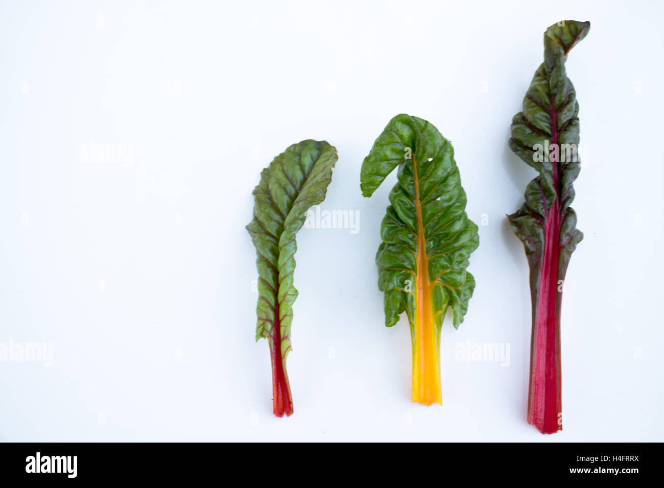 Rainbow chard, différents types et tailles, rouge et jaune, blettes à carde, inspiré de l'alimentation Banque D'Images Rainbow chard, différents types et tailles, rouge et jaune, blettes à carde, inspiré de l'alimentation Banque D'Images
