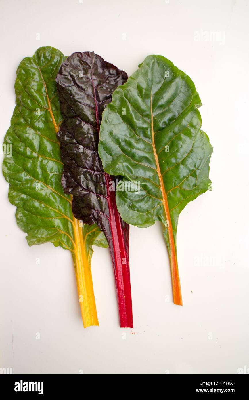 Rainbow chard dans une ligne utilisée dans la cuisine, la nourriture a inspiré Banque D'Images Rainbow chard dans une ligne utilisée dans la cuisine, la nourriture a inspiré Banque D'Images