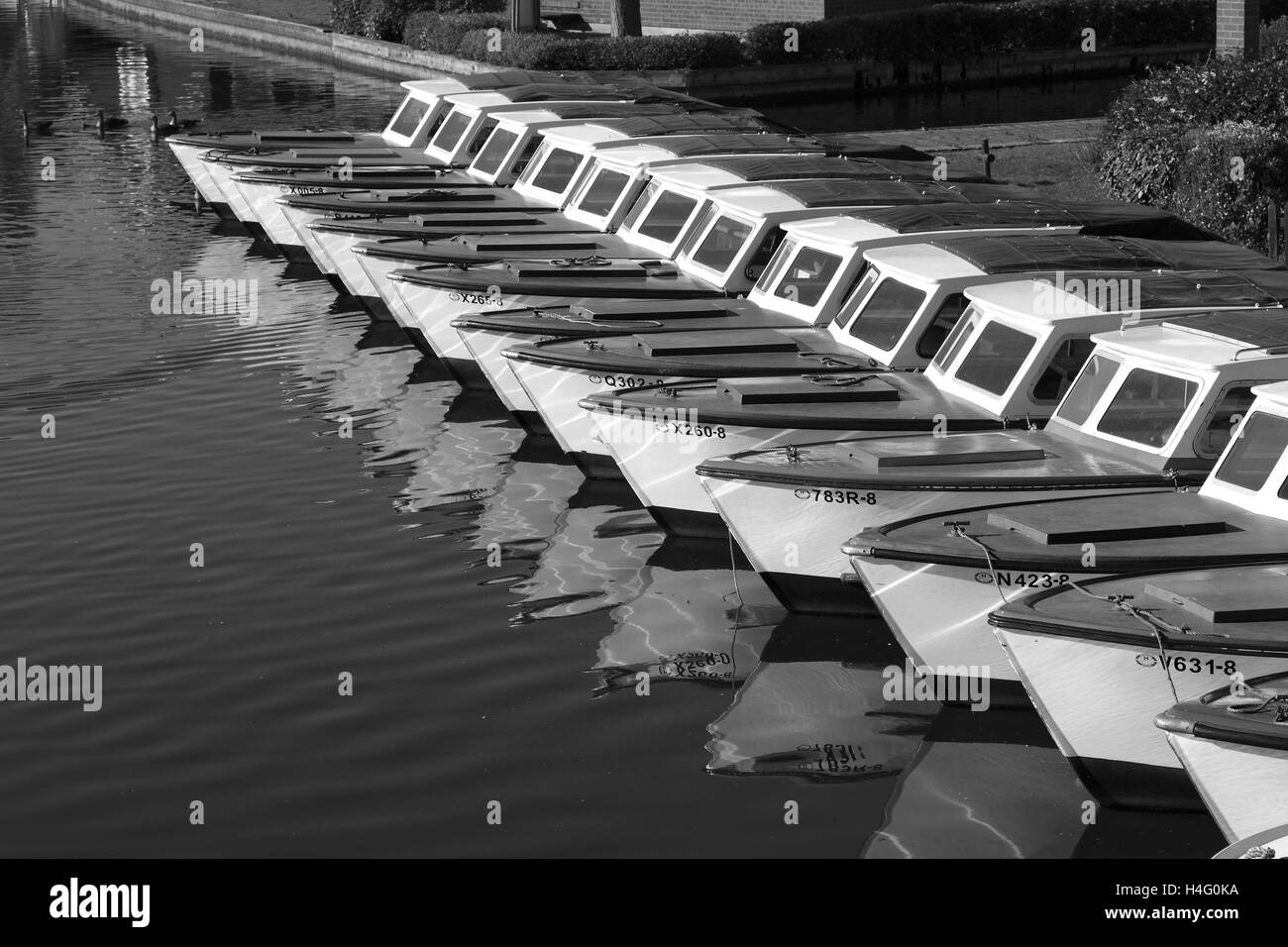 Bateaux sur la rivière Bure, Wroxham, Norfolk Broads National Park, Angleterre, RU Banque D'Images