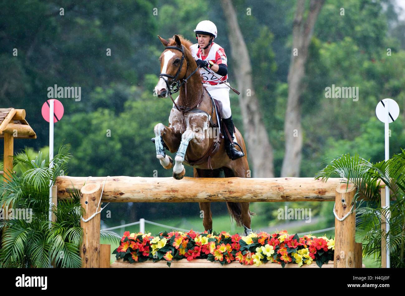 Jeux olympiques 2008 de Beijing, Hong Kong (Jeux) août 2008, Mike Winter (CAN) équitation King Pin, eventing cross country Banque D'Images