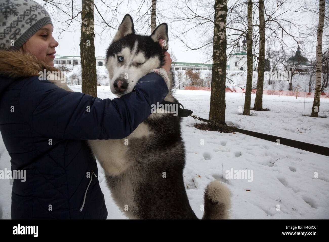 Sportsman lors de la course de chiens de traîneau uzdal "champ" dans la ville de Suzdal, région de Vladimir, Russie Banque D'Images