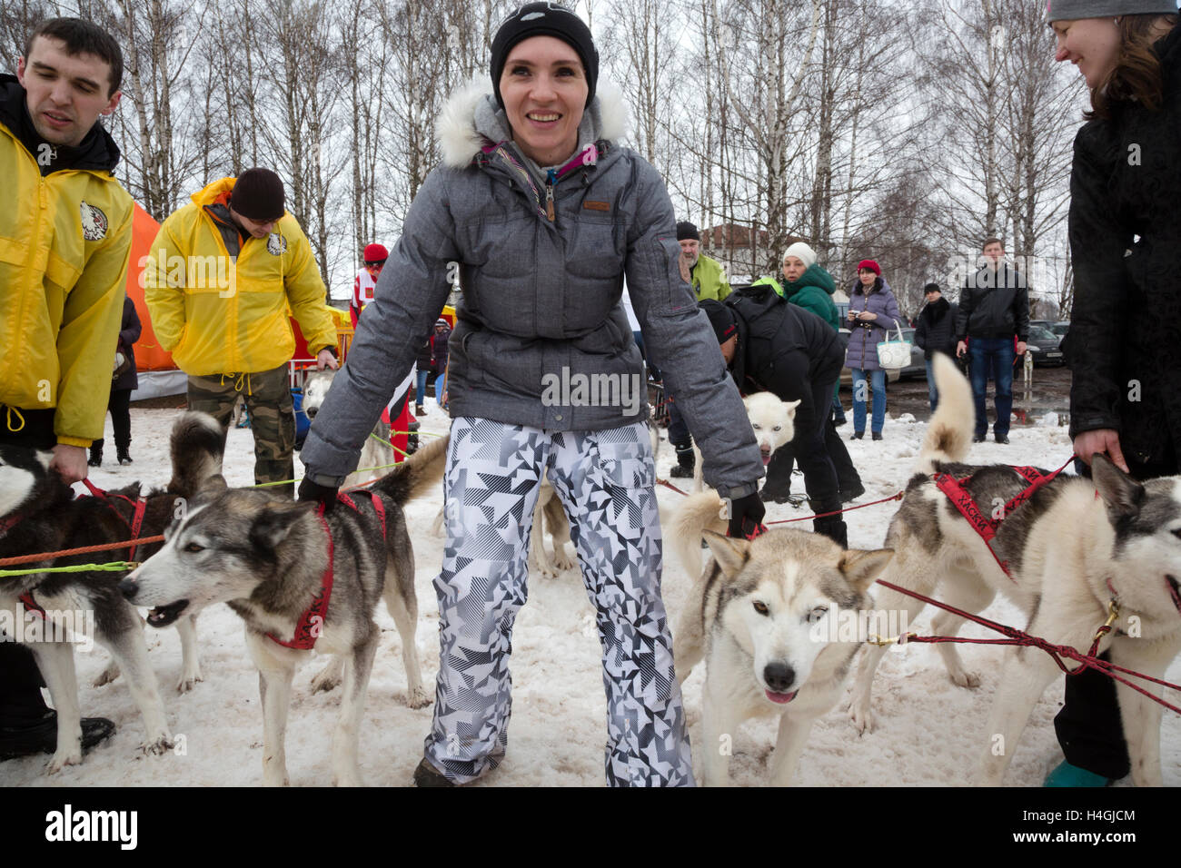Sportsman lors de la course de chiens de traîneau uzdal "champ" dans la ville de Suzdal, région de Vladimir, Russie Banque D'Images