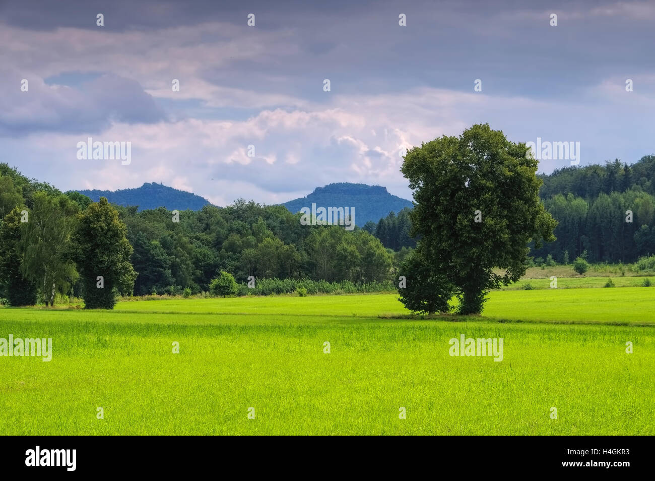 Dans Papststein der der Sächsischen Scweiz - Papststein Papststein - Mountain dans la Suisse saxonne Banque D'Images