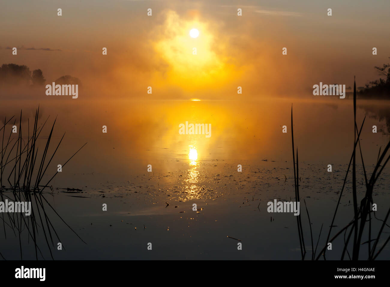 L'aube sur la rivière dans la Fédération de soleil dans le brouillard Banque D'Images