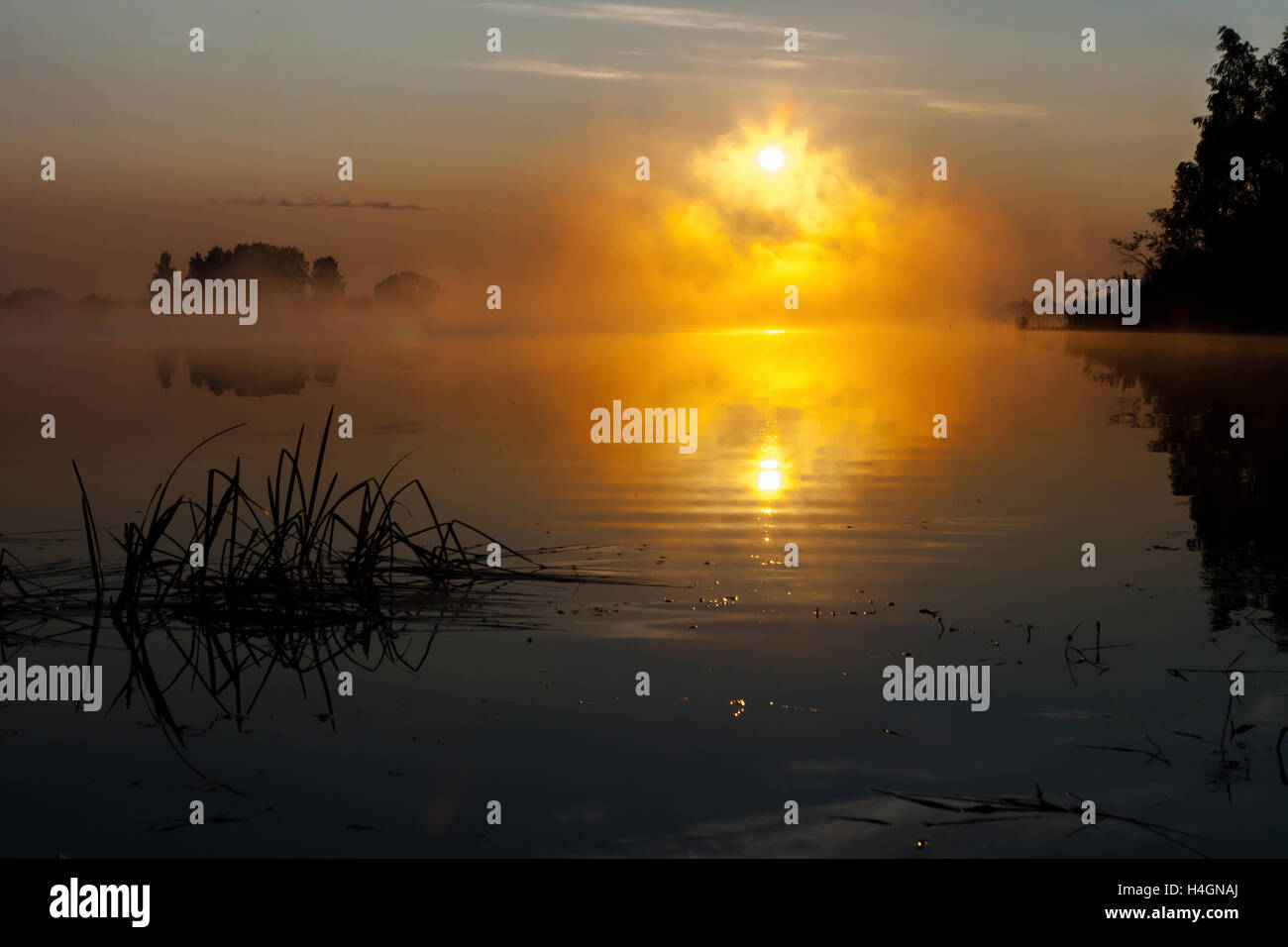 L'aube sur la rivière dans la Fédération de soleil dans le brouillard Banque D'Images