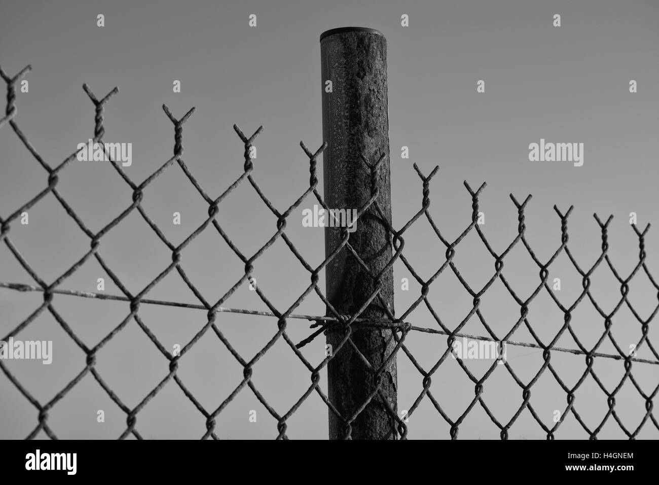 Grillage contre le ciel bleu. Noir et blanc. Close up. Banque D'Images