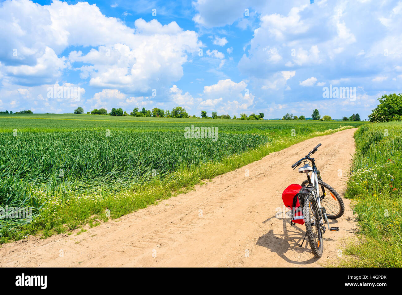 Location on rural road dans le magnifique paysage de campagne d'été, Pologne Banque D'Images