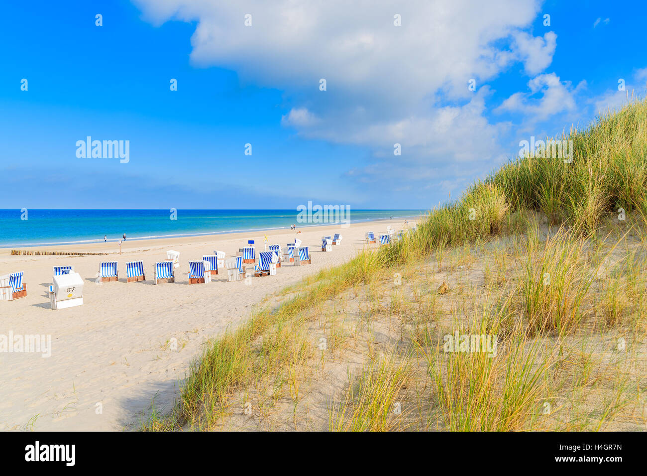 Dunes de sable, d'herbe et d'afficher de Kampen plage, l'île de Sylt, Allemagne Banque D'Images