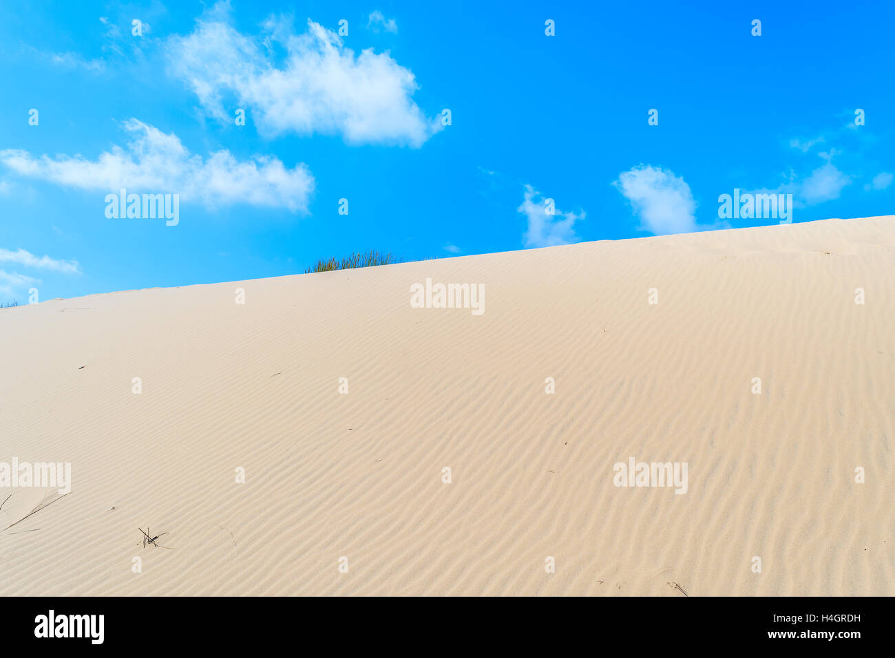Dune de sable contre ciel bleu ensoleillé avec des nuages blancs, l'île de Sylt, Allemagne Banque D'Images