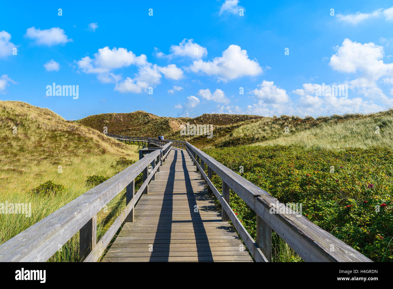 Passerelle en bois de la plage entre les dunes de sable sur l'île de Sylt, Allemagne Banque D'Images