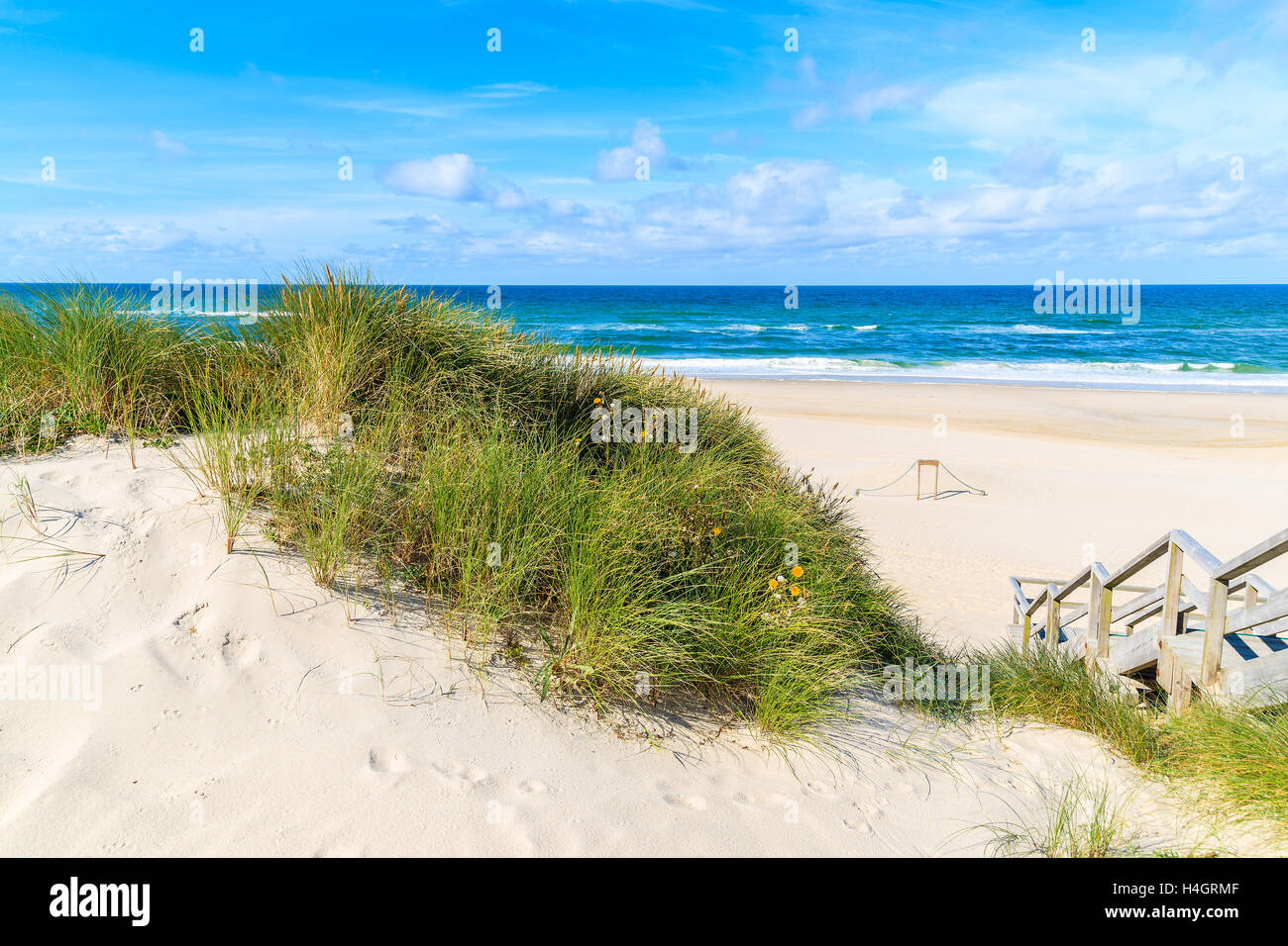 L'herbe verte sur dune de sable à la plage de l'île de Sylt, Liste, Allemagne Banque D'Images