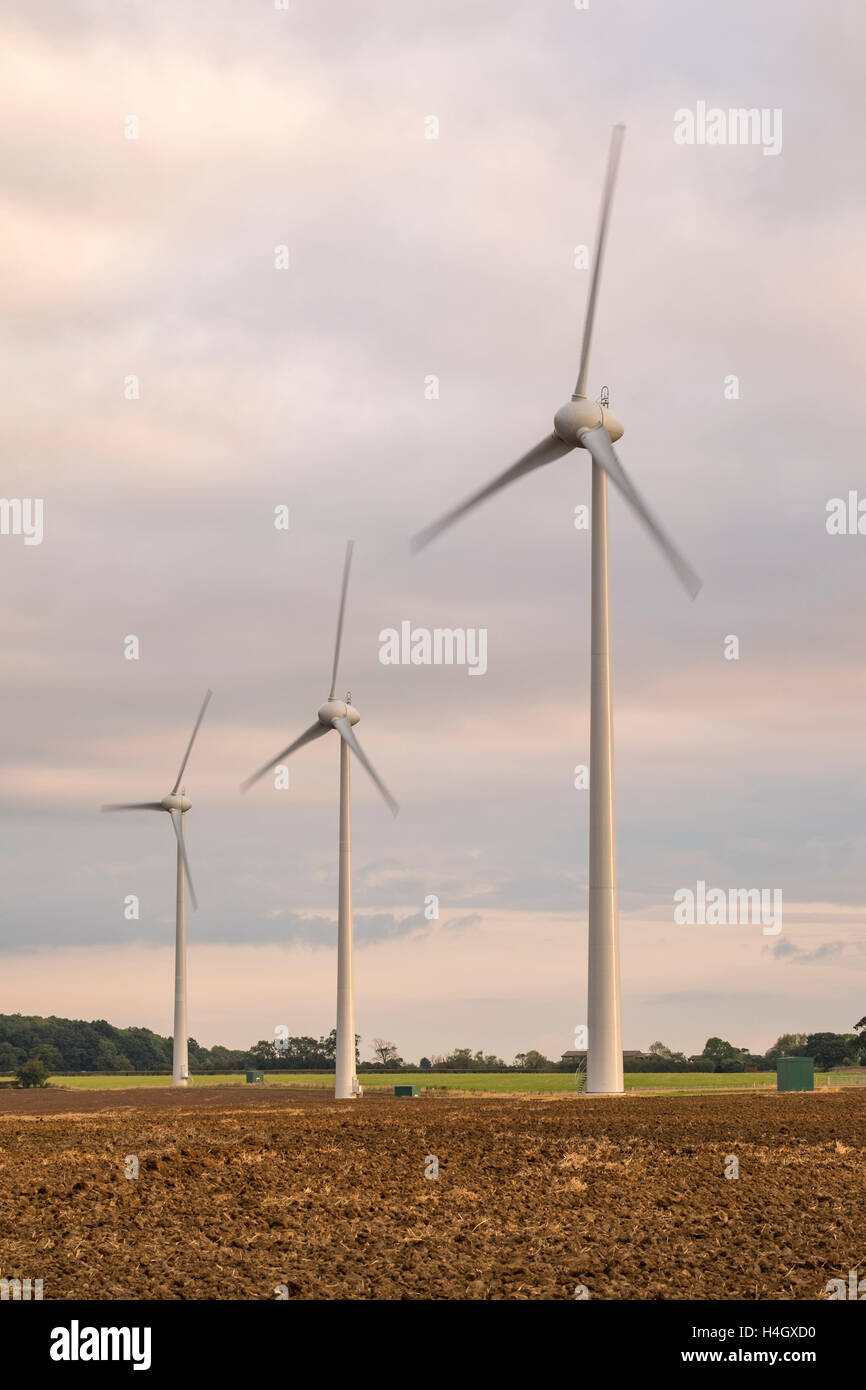 Trois éoliennes dans un champ Banque D'Images
