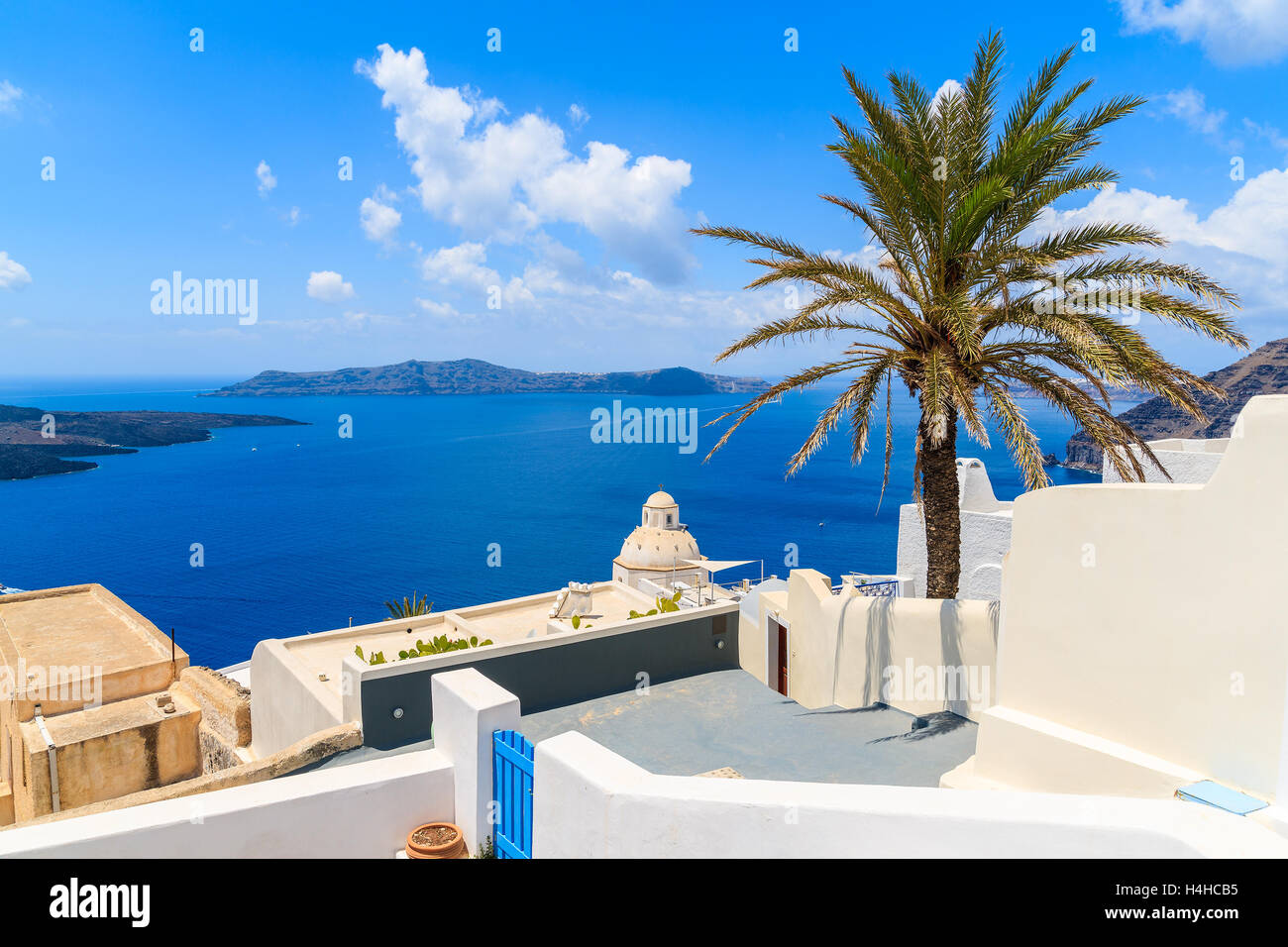 Palmier sur terrasse avec vue sur mer dans village de Firostefani, Santorin, Grèce Banque D'Images