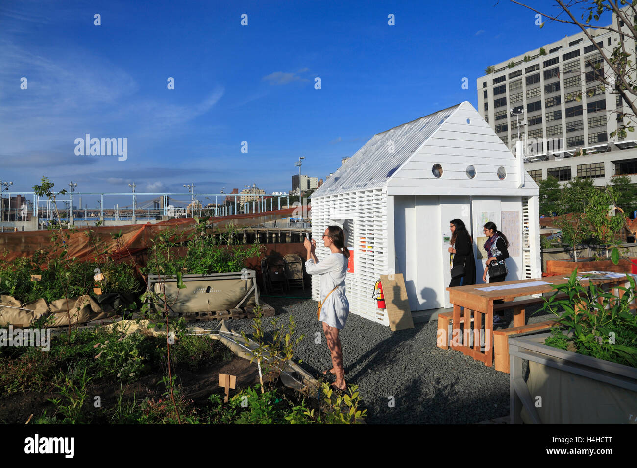 SWALE, projet de jardin piscine, pont de Brooklyn Park, Brooklyn, New York, USA Banque D'Images