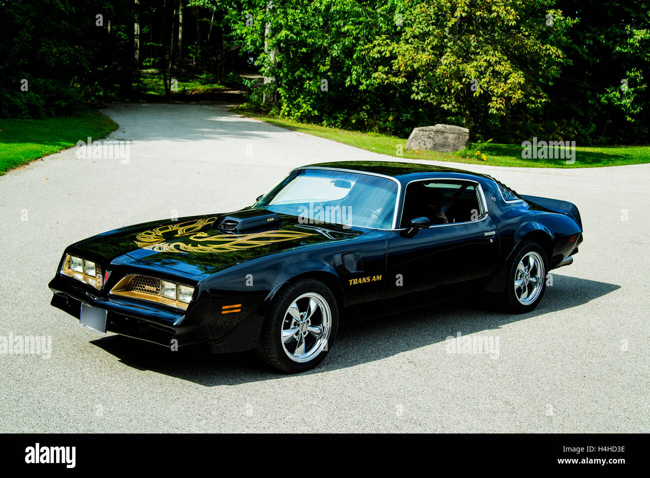 1977 Pontiac Trans AM Banque D'Images