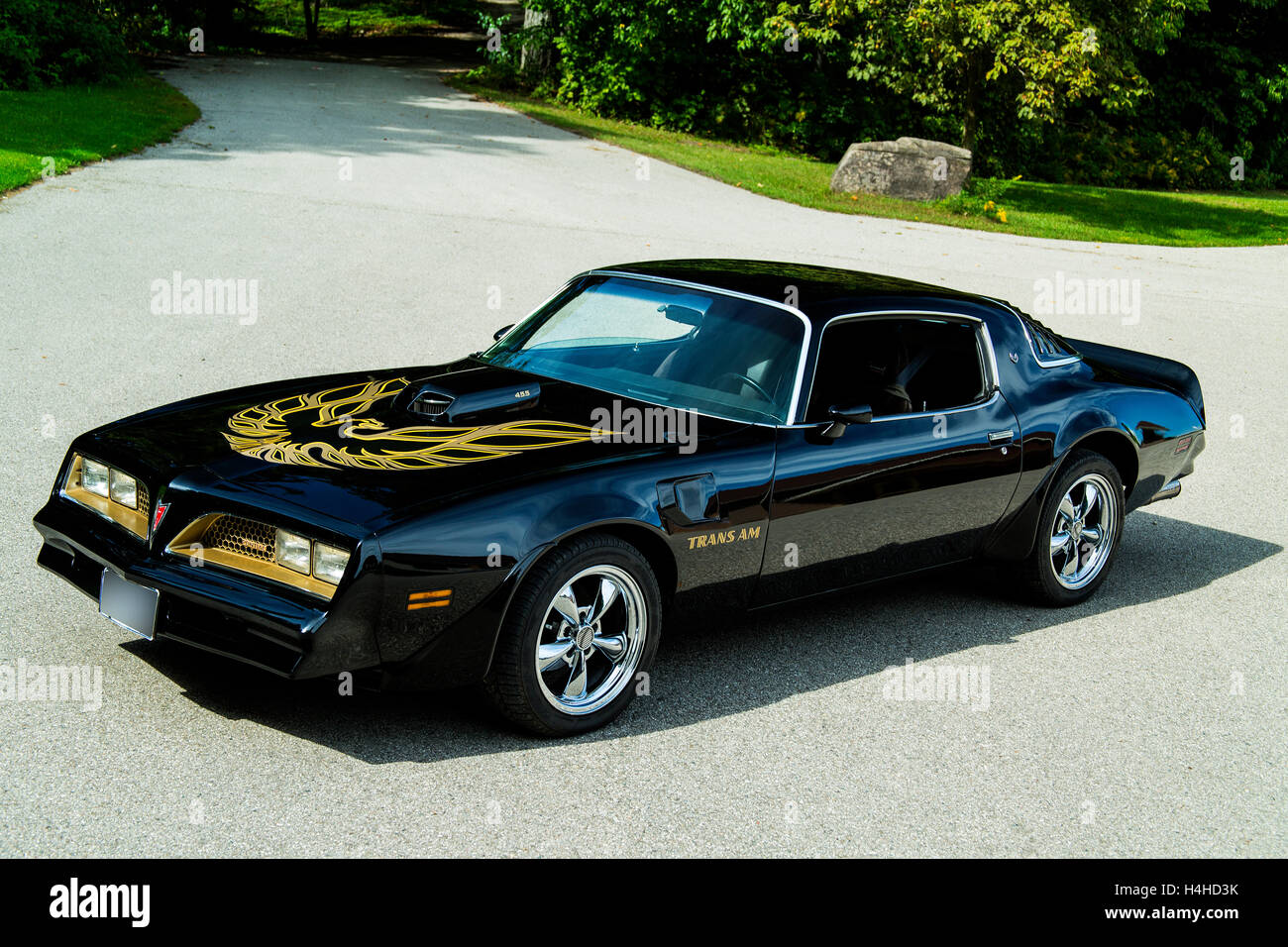 1977 Pontiac Trans AM Banque D'Images