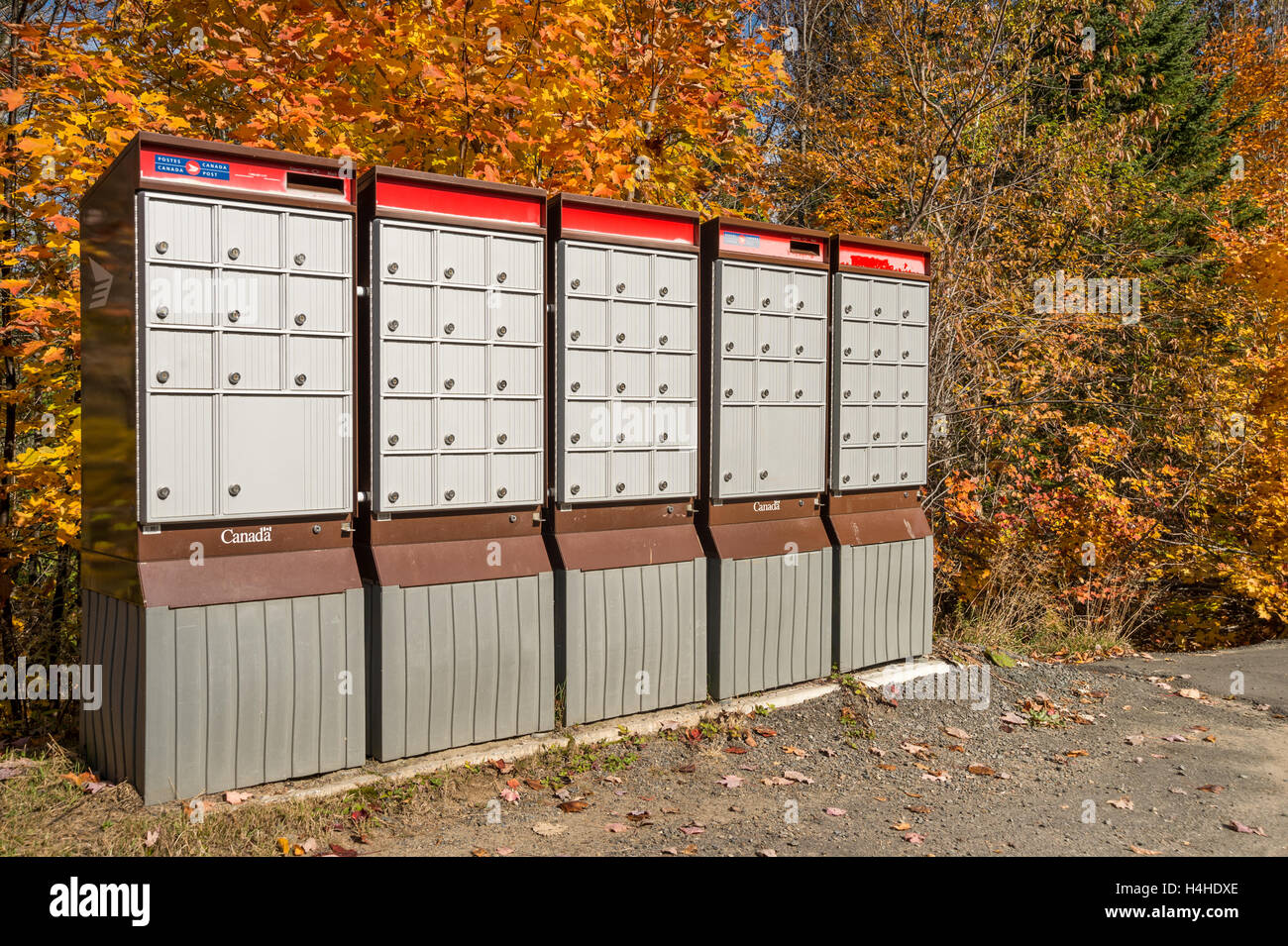 Les boîtes aux lettres de Postes Canada rural Dans Laurentides, Qc, Canada, à l'automne Banque D'Images