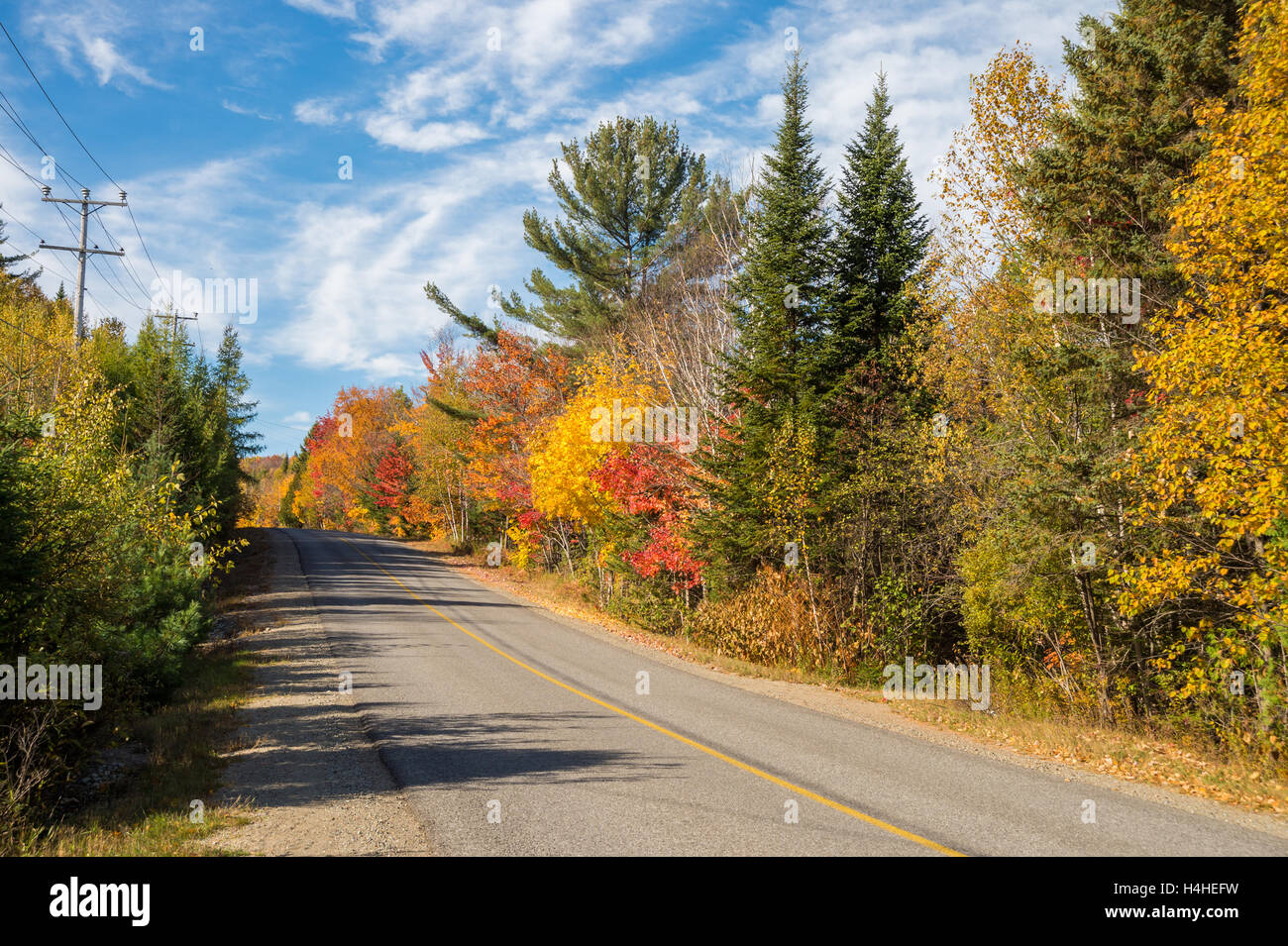 Arbres en couleurs d'automne le long de la route, près de Saint-Jérôme, Laurentides. Banque D'Images