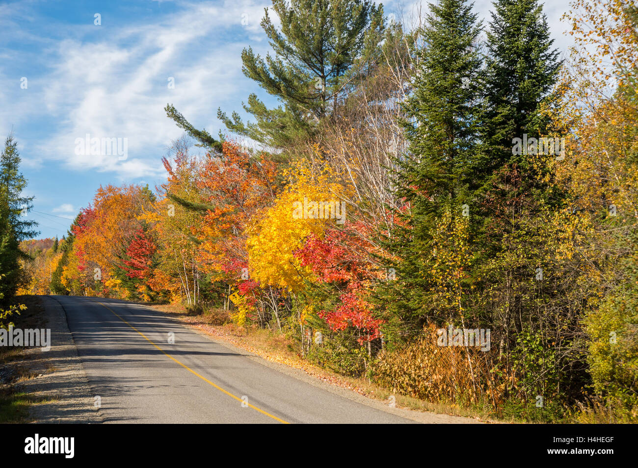 Feuillage de l'automne - les arbres en couleurs d'automne le long de la route, près de Saint-Jérôme, Laurentides. Banque D'Images