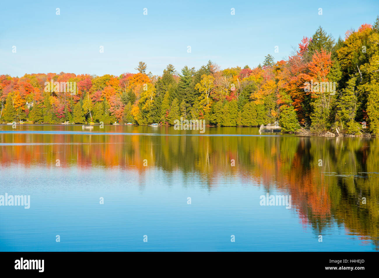 Couleurs d'automne au Québec, Canada (Lac Saint-Amour à Sainte-Anne-des-Lacs) Banque D'Images