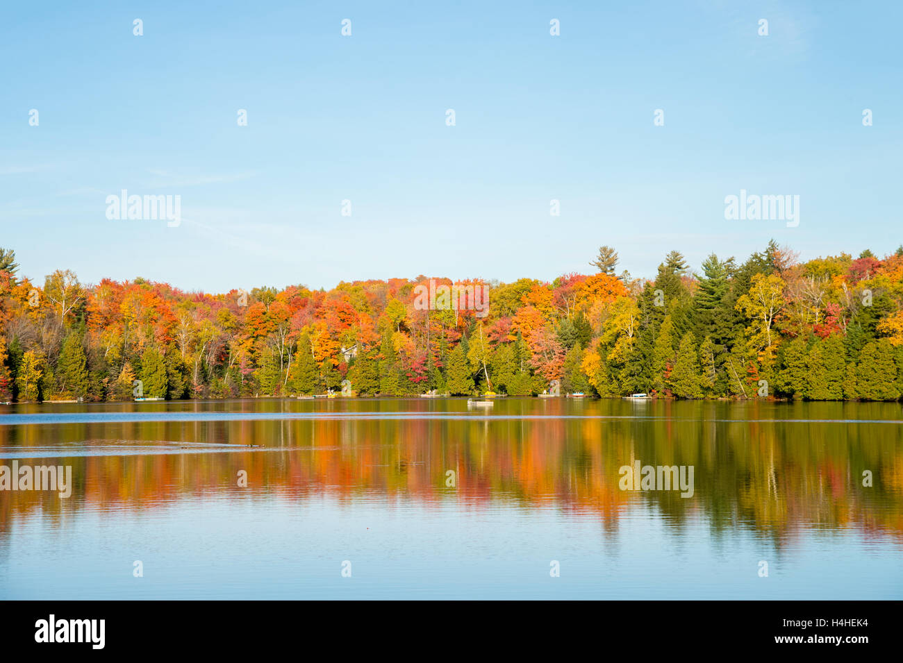 Couleurs d'automne au Québec, Canada (Lac Saint-Amour à Sainte-Anne-des-Lacs) Banque D'Images