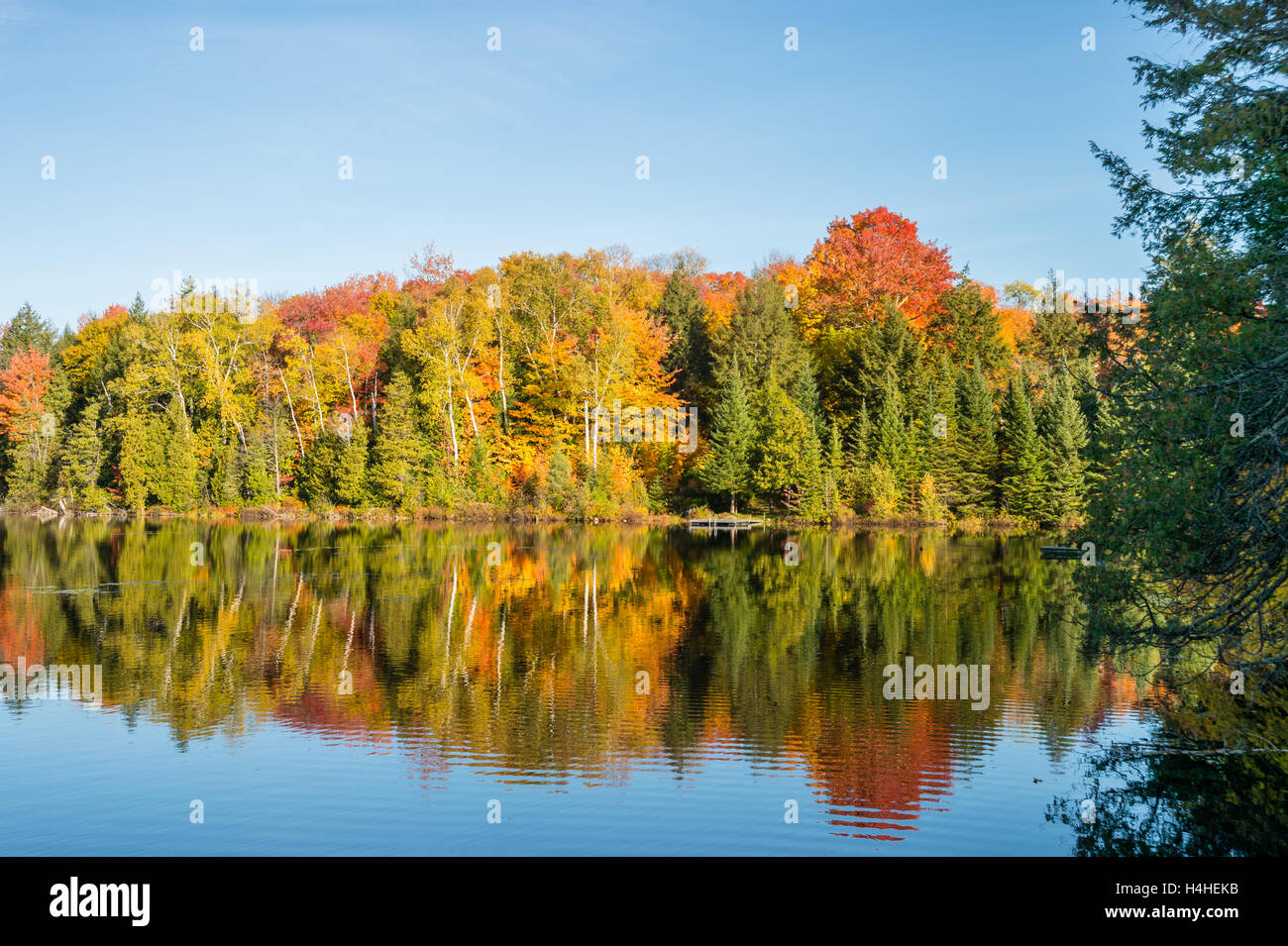 Couleurs d'automne au Québec, Canada (Lac Saint-Amour à Sainte-Anne-des-Lacs) Banque D'Images