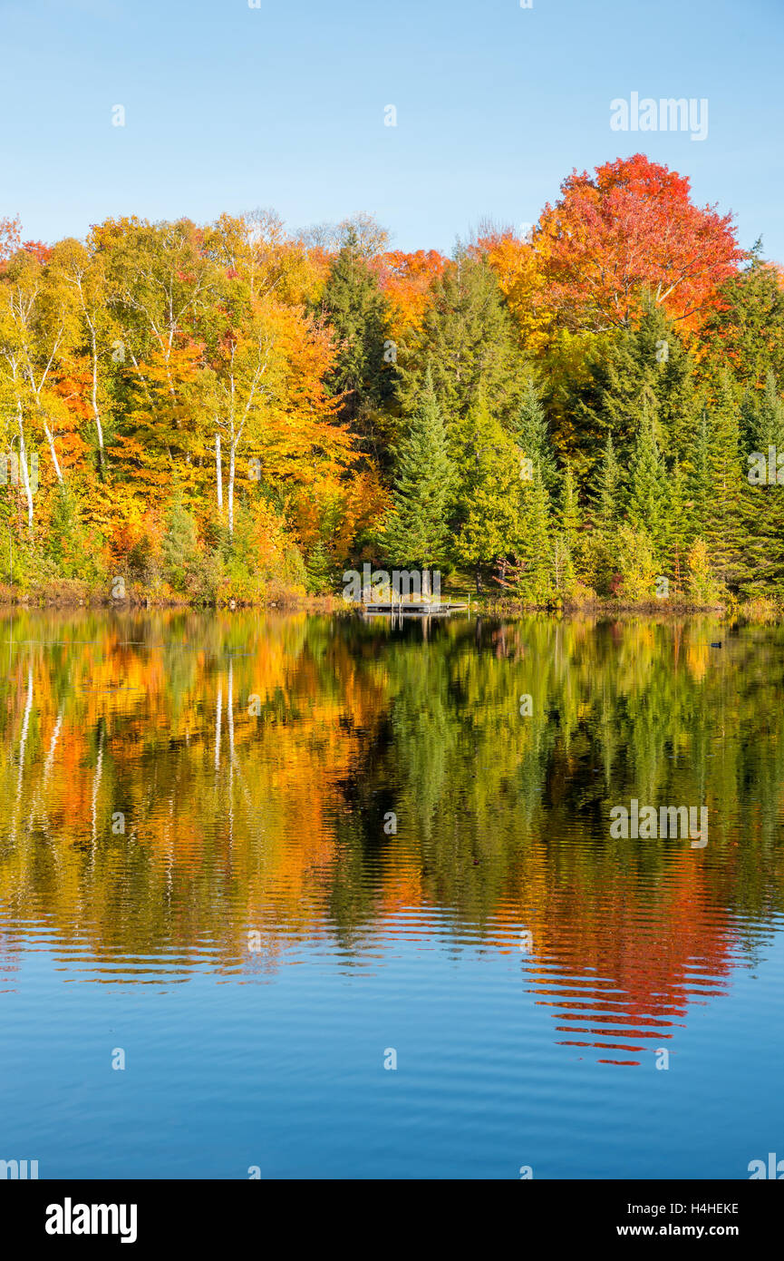 Couleurs d'automne au Québec, Canada (Lac Saint-Amour à Sainte-Anne-des-Lacs) Banque D'Images