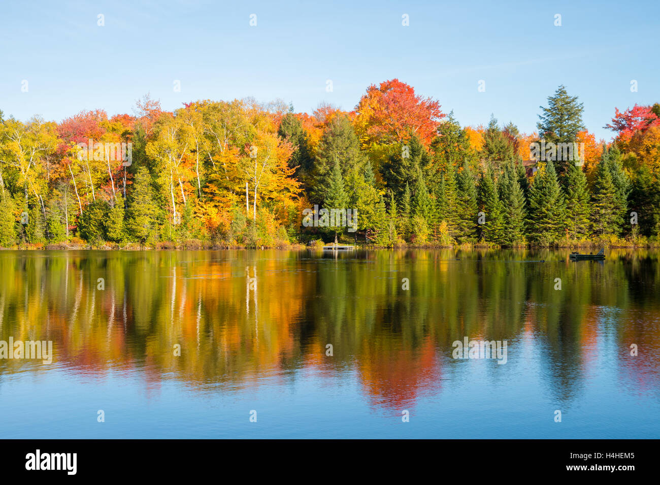 Feuillage de l'automne - Couleurs d'automne au Québec, Canada (Lac Saint-Amour à Sainte-Anne-des-Lacs) Banque D'Images