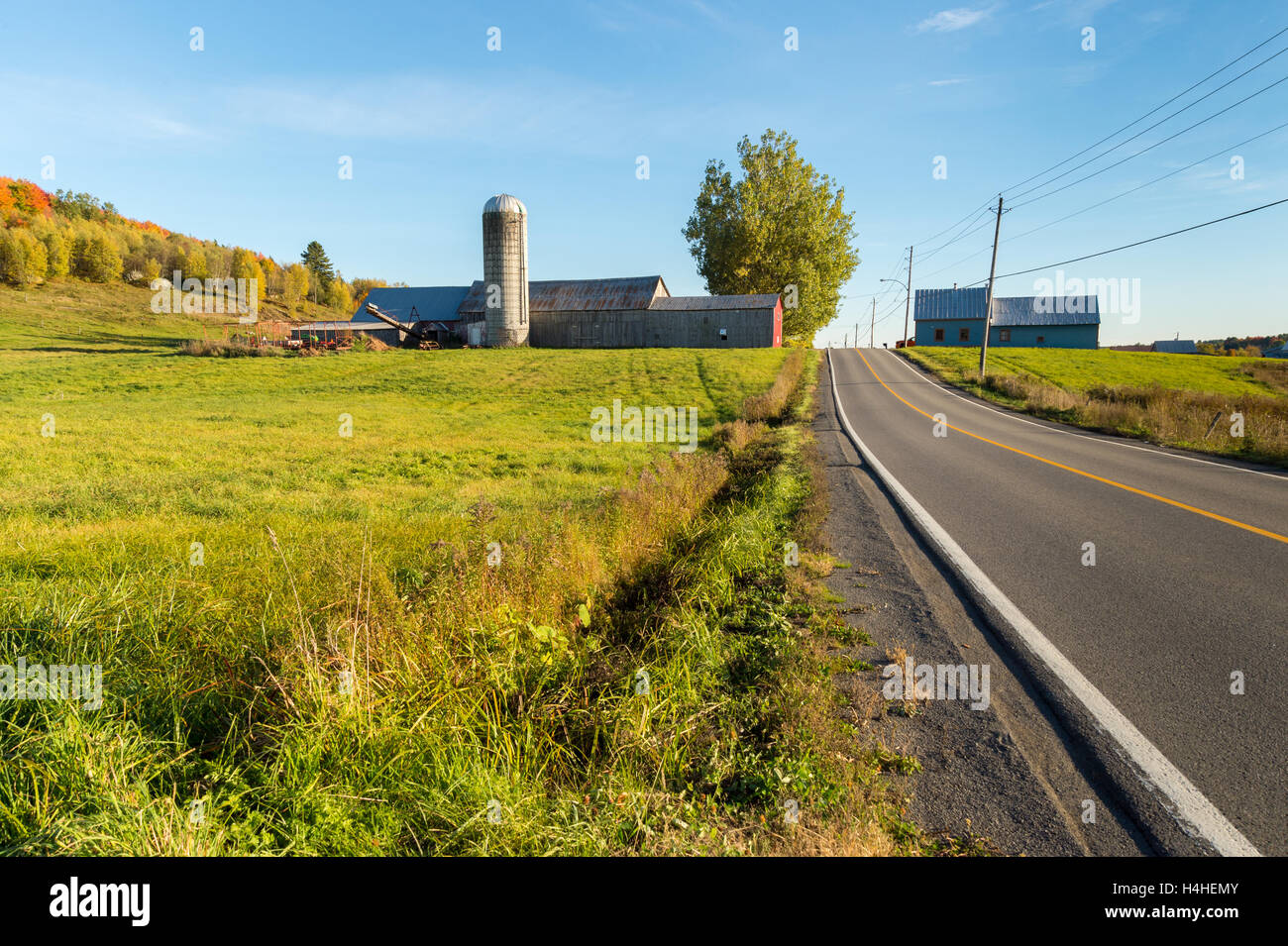 Campagne québécoise à l'automne, près de Saint-Jérôme, Laurentides. Banque D'Images