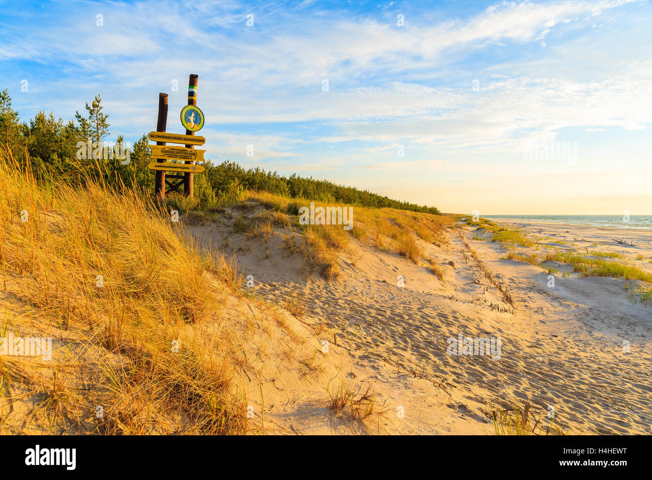 Le PARC NATIONAL SLOWINSKI, POLOGNE - JUN 21, 2016 : l'herbe sur les dunes de sable au coucher du soleil sur une plage dans le Parc National Slowinski, Baltique Banque D'Images