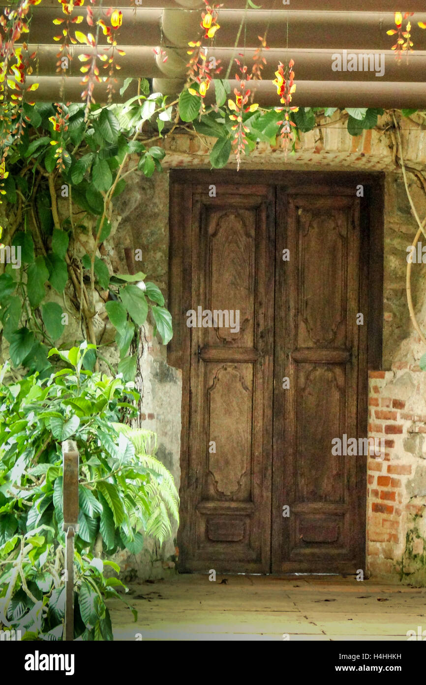 Porte rustique avec clockvine fleurs sur un treillis à Antigua, Guatemala, un jardin. Banque D'Images