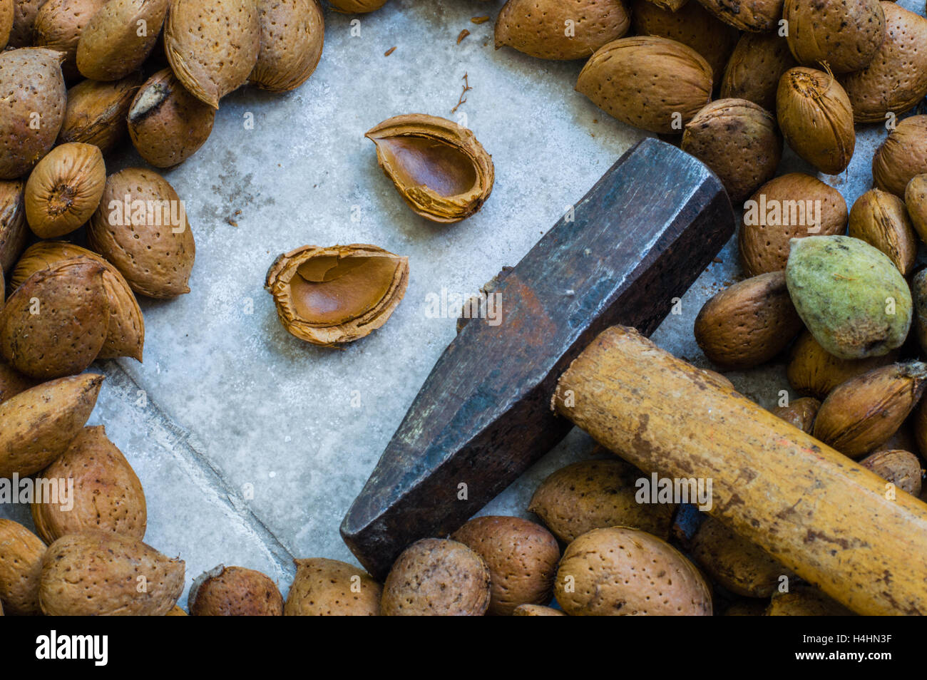 Amandes bio frais avec Shell et un marteau Banque D'Images