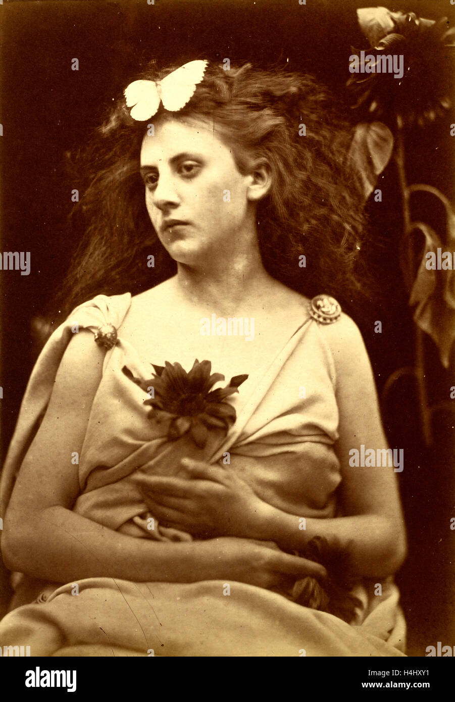 Julia Margaret Cameron (1815-1879), British, le tournesol, 1866-1870, à l'albumine Banque D'Images
