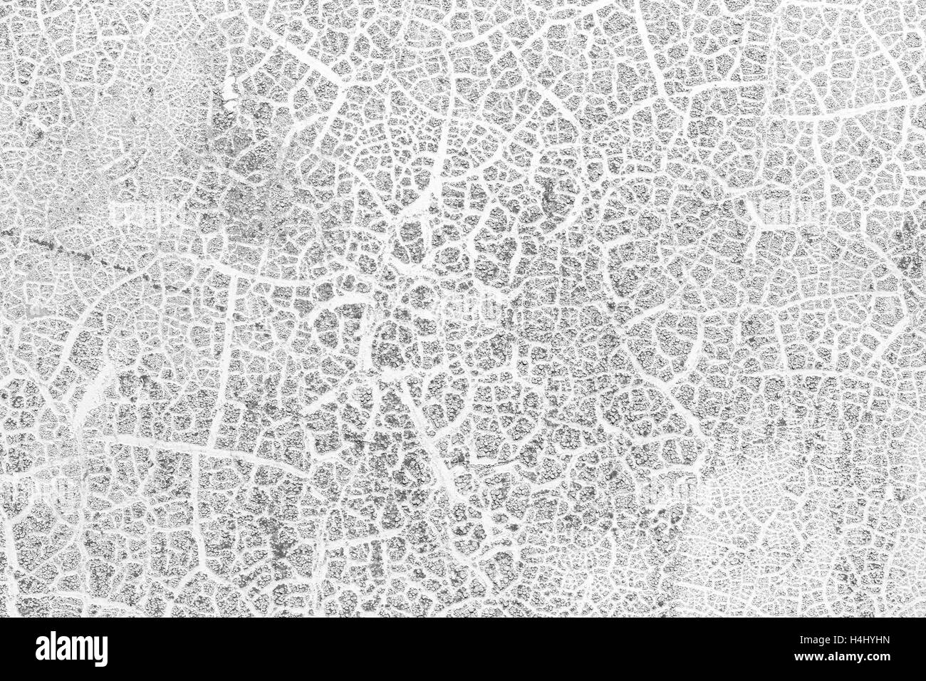 Mur de béton blanc Grunge Background Banque D'Images Mur de béton blanc Grunge Background Banque D'Images