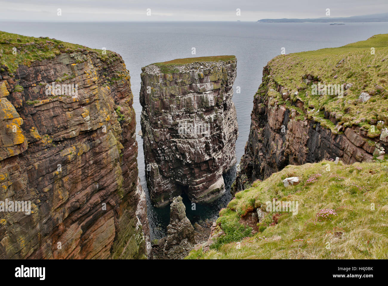 Handa Island ; Sutherland ; Ecosse ; UK Banque D'Images
