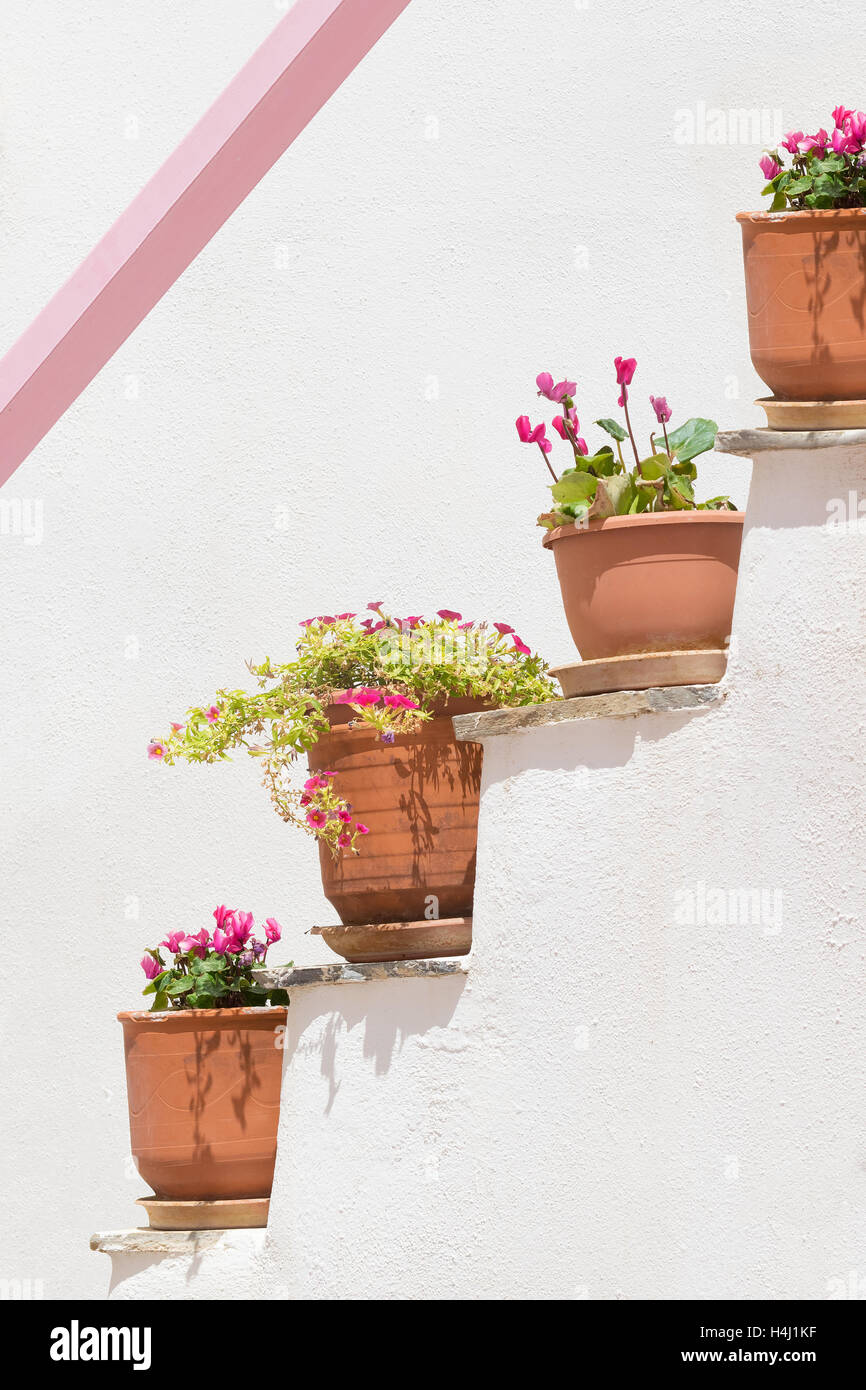 Quatre pots de fleurs contre un mur blanc et une ligne rose conçu sur elle. Banque D'Images