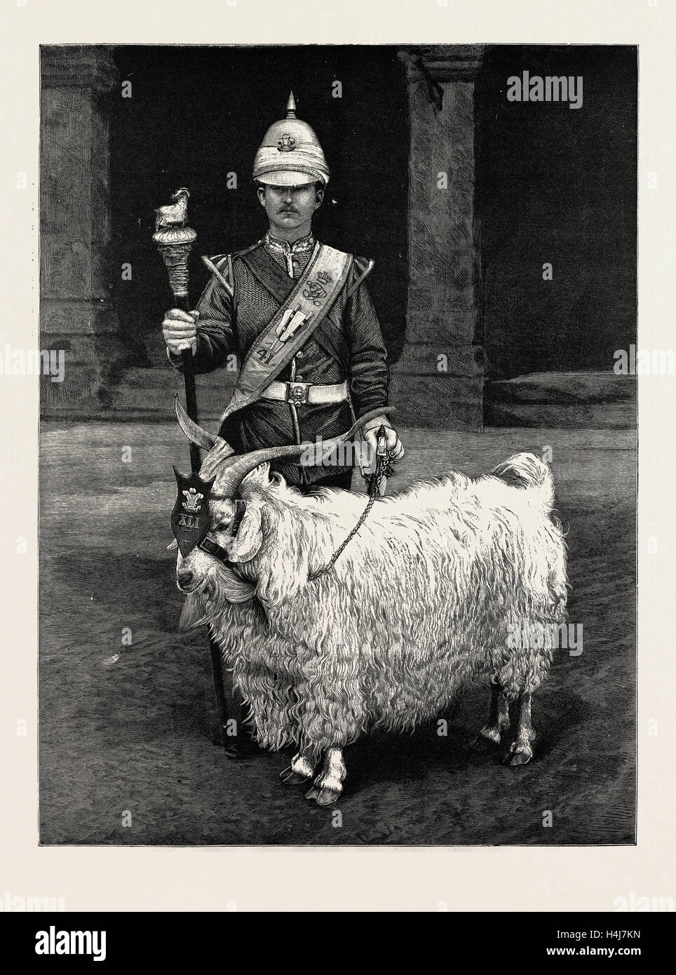 La chèvre ANIMAL DE LA Welsh Regiment, UK, 1889 Banque D'Images