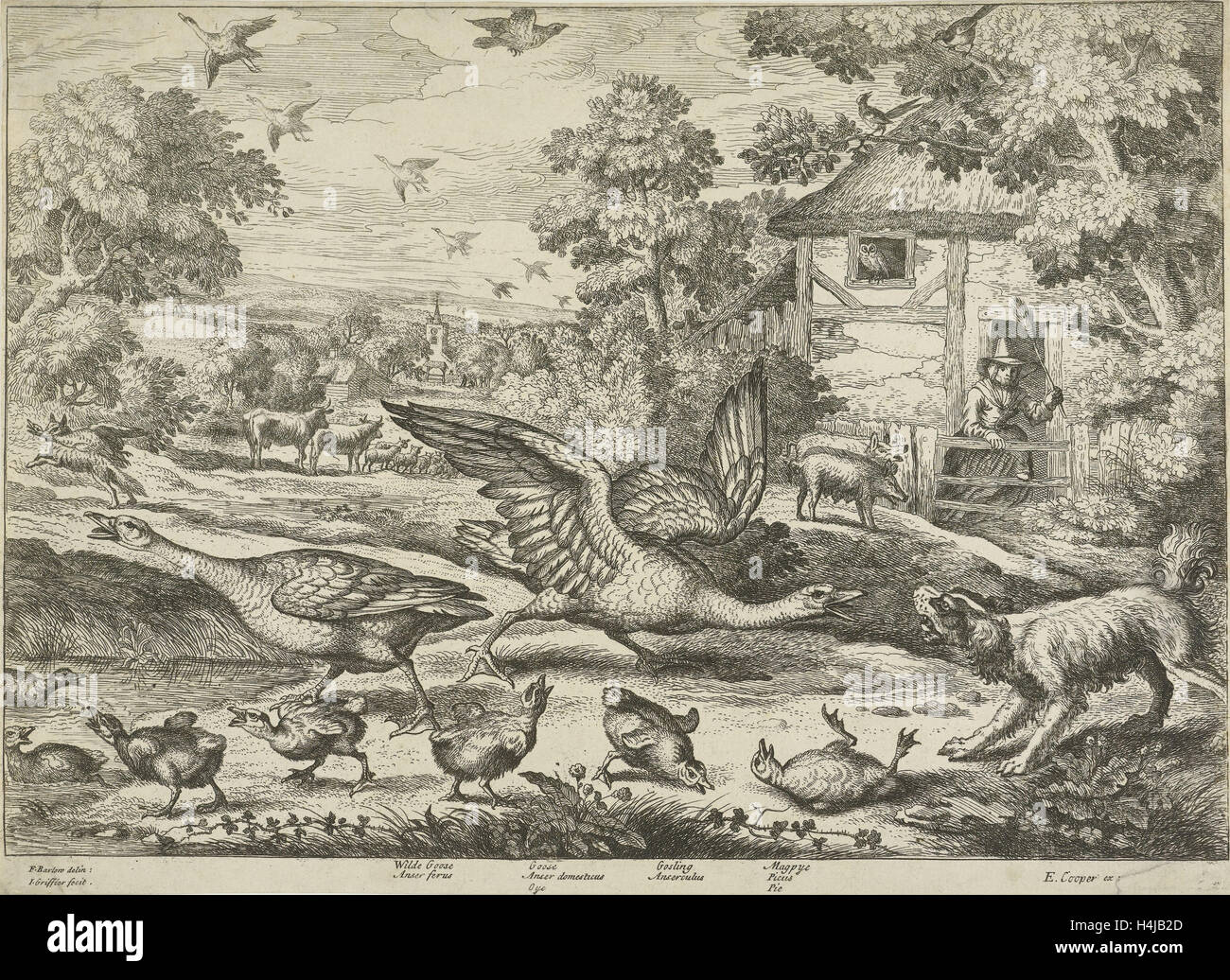 Paysage avec deux oies défendent leurs jeunes, imprimer bouilloire : Jan Griffier I, Francis Barlow, Edward Cooper, 1655 - 1718 Banque D'Images