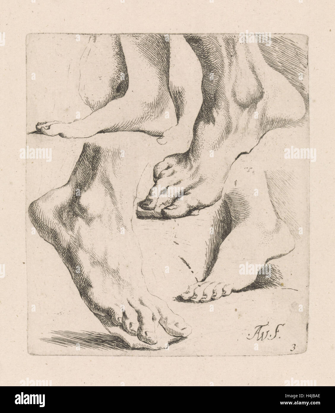 Quatre études de pieds, Augustinus Terwesten I, 1672-1711 Banque D'Images