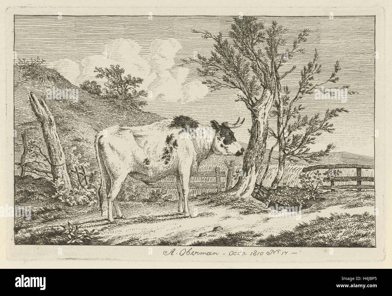 Bull dans un paysage, Anthony Oberman, 1810 Banque D'Images