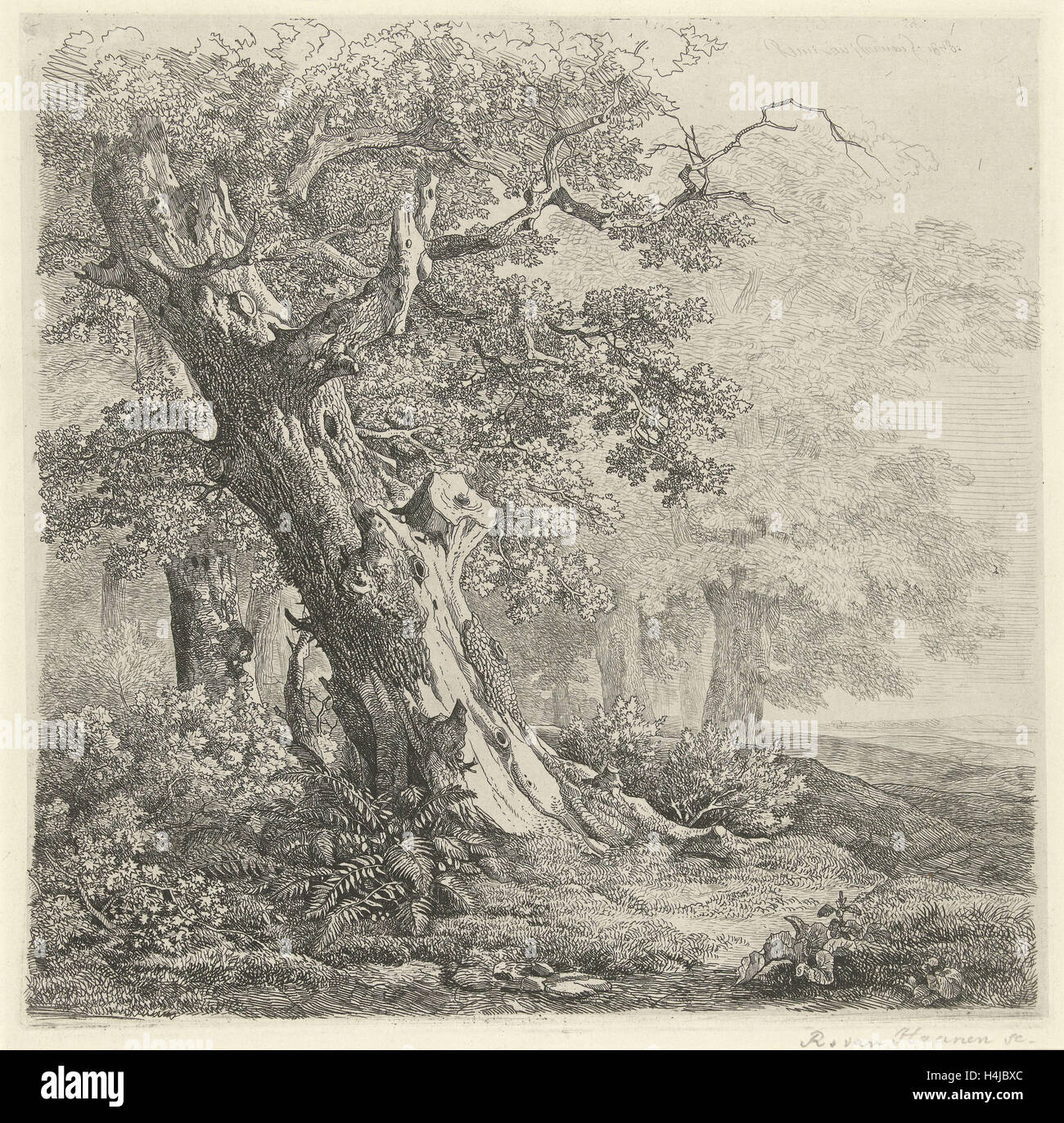 Arbre dans un paysage, Remigius Adrianus Haanen, 1848 Banque D'Images