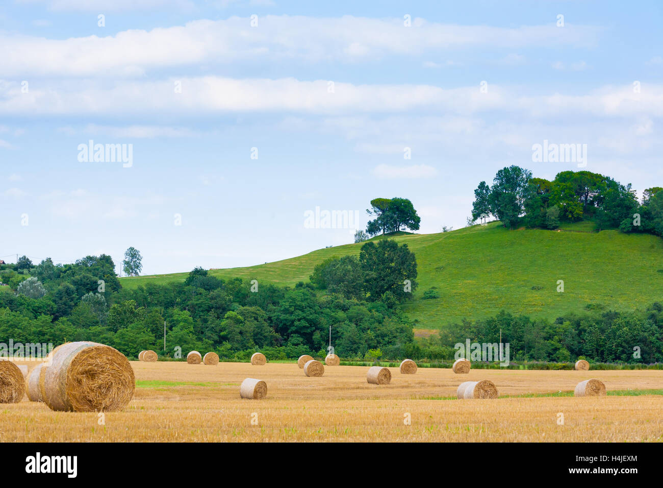 Campagne italienne panorama. Les balles rondes sur champ de blé. L'agriculture, de la vie rurale Banque D'Images