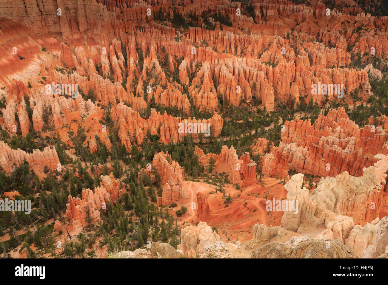 Panorama du Parc National de Bryce Canyon, Etats-Unis. Les cheminées, des formations géologiques. Beau paysage Banque D'Images