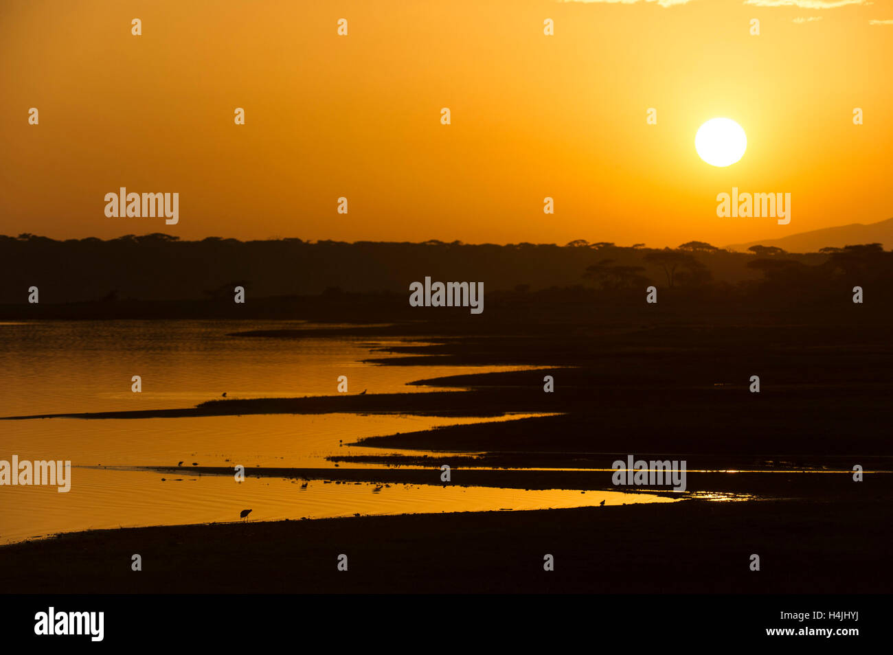 Lever du soleil sur le lac Ndutu, Serengeti National Park, Tanzania Banque D'Images