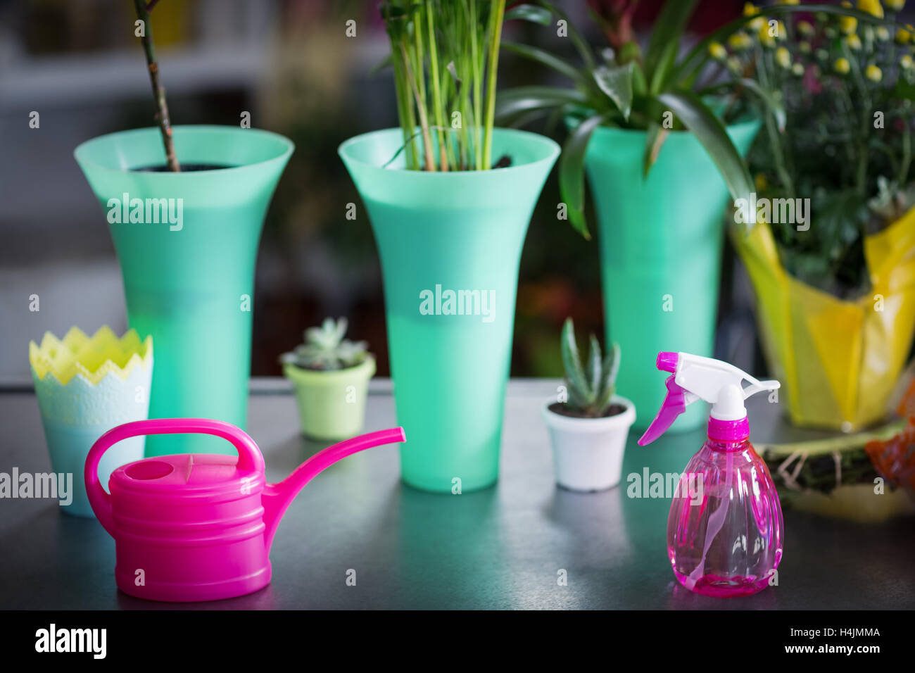 Vase à fleurs, l'arrosoir, de plantes en pot et bouteille de jet sur la table Banque D'Images