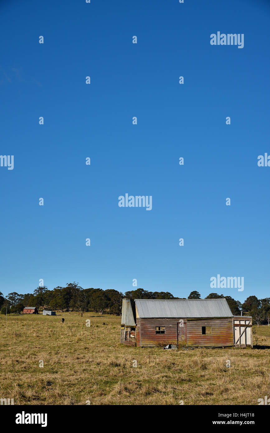 L'outback à l'abandon de bush house avec des bovins à viande dans un enclos près de Glen Innes, NSW, Australie Banque D'Images