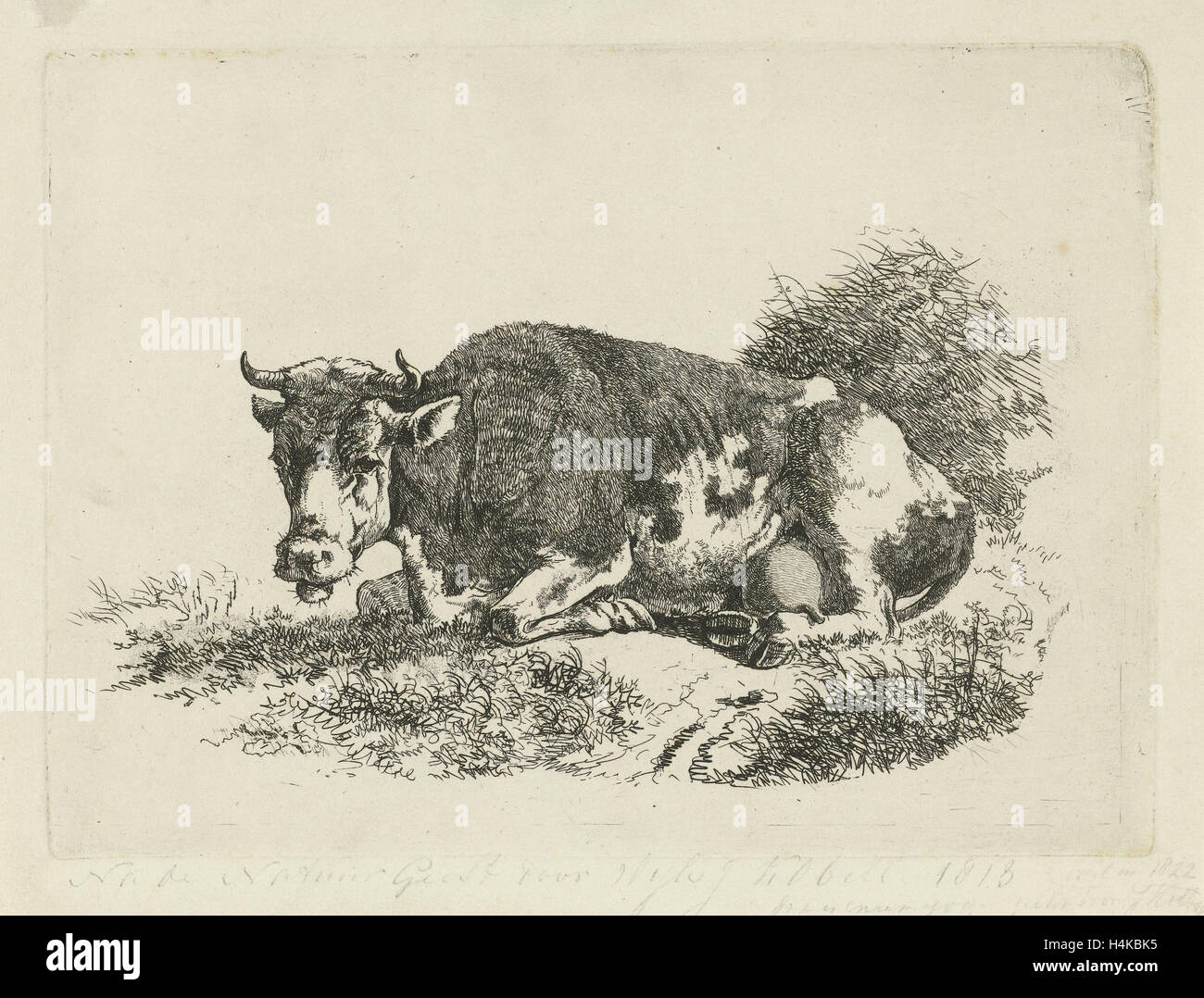 Vache couchée, Ange Jan (III), 1810 - 1838 Banque D'Images